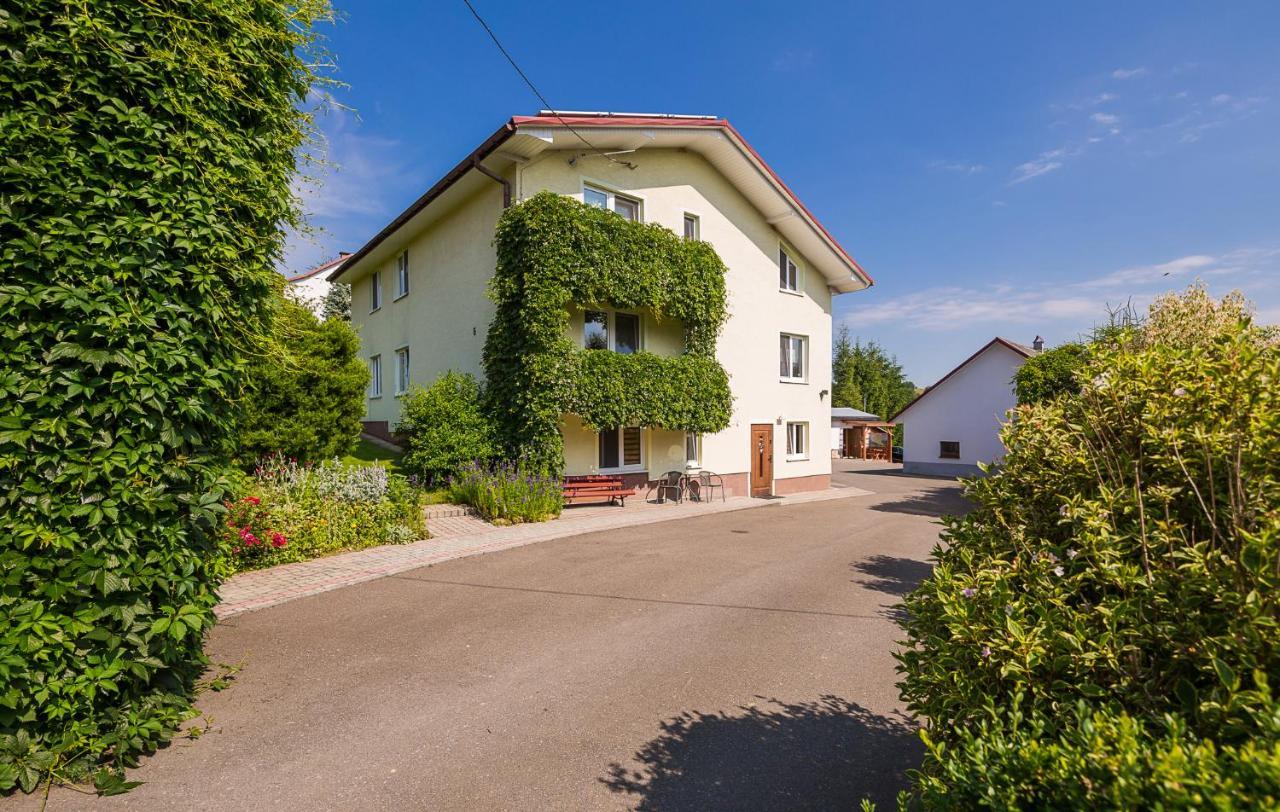 Bieszczadzki Krakowiak 575-894-584 Lub 535-595-732 Villa Polańczyk Екстериор снимка