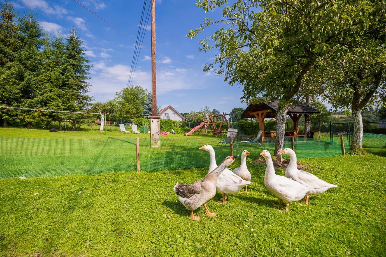Bieszczadzki Krakowiak 575-894-584 Lub 535-595-732 Villa Polańczyk Екстериор снимка